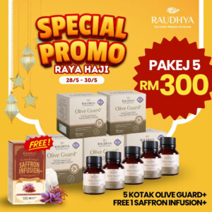 PAKEJ PROMOSI RAYA HAJI